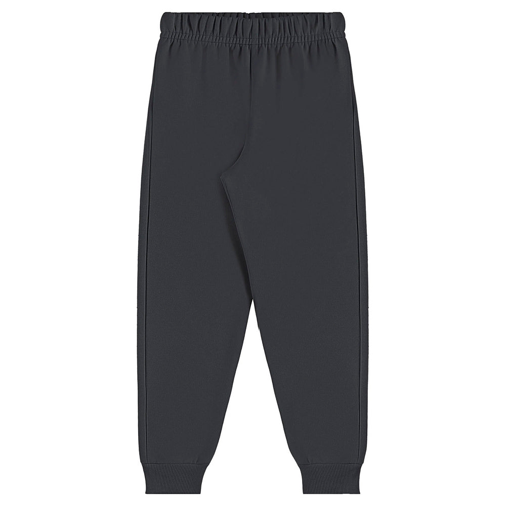 Conjunto Em Moletom Blusão Listrado e Calça Bee Loop Masculino