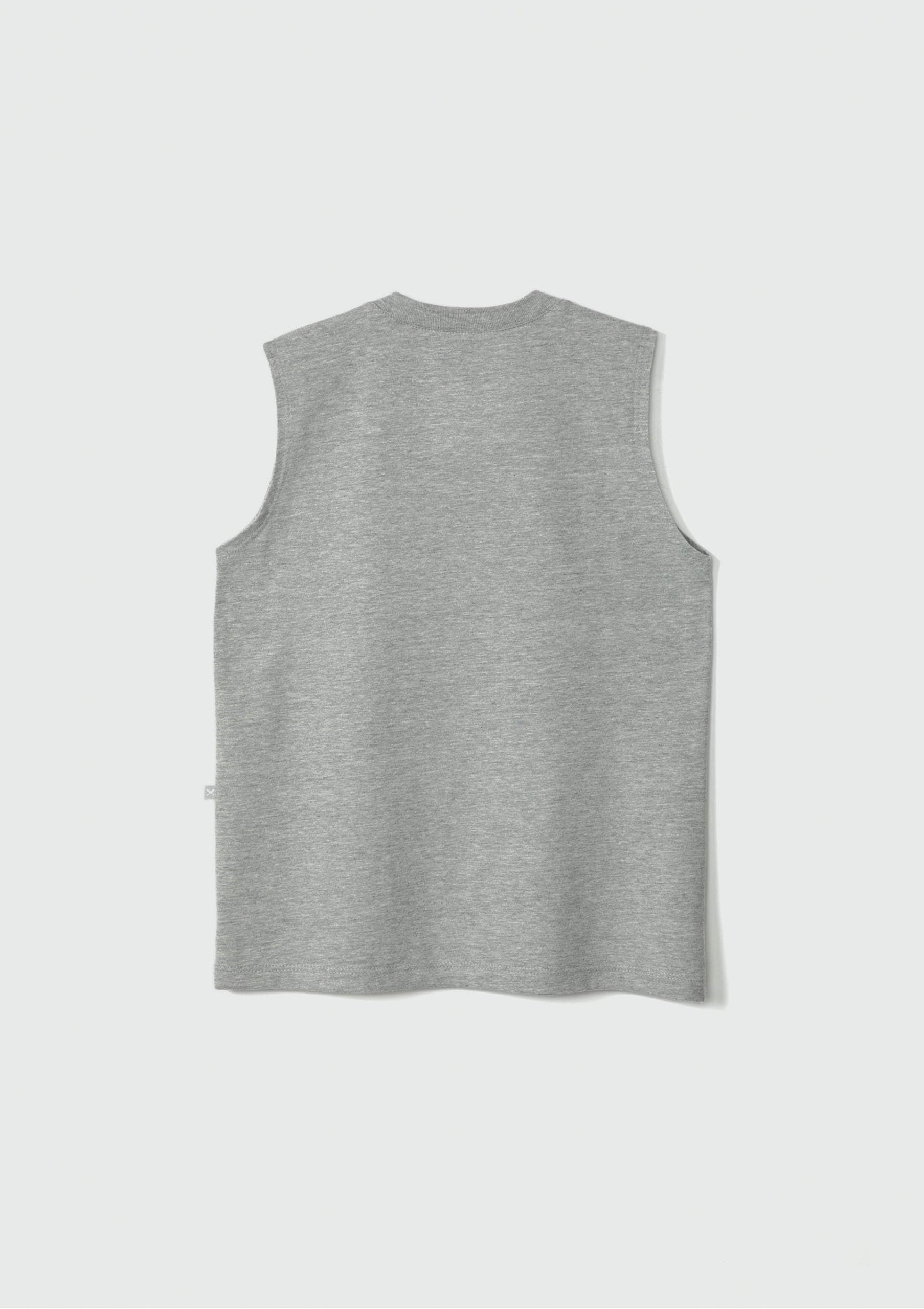 Camiseta Regata Estampada Mescla Skate Hering - Masculina