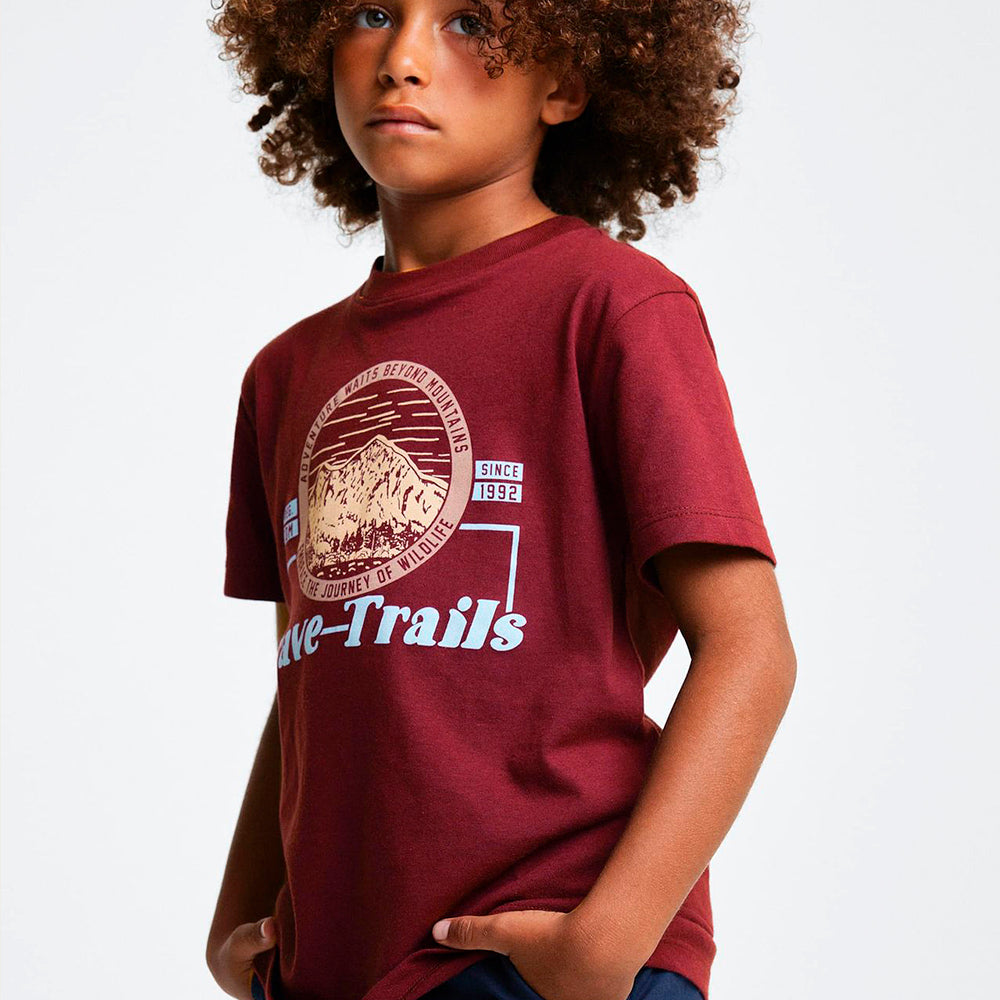 Camiseta Manga Curta Hering Kids Estampada Masculina - Vinho