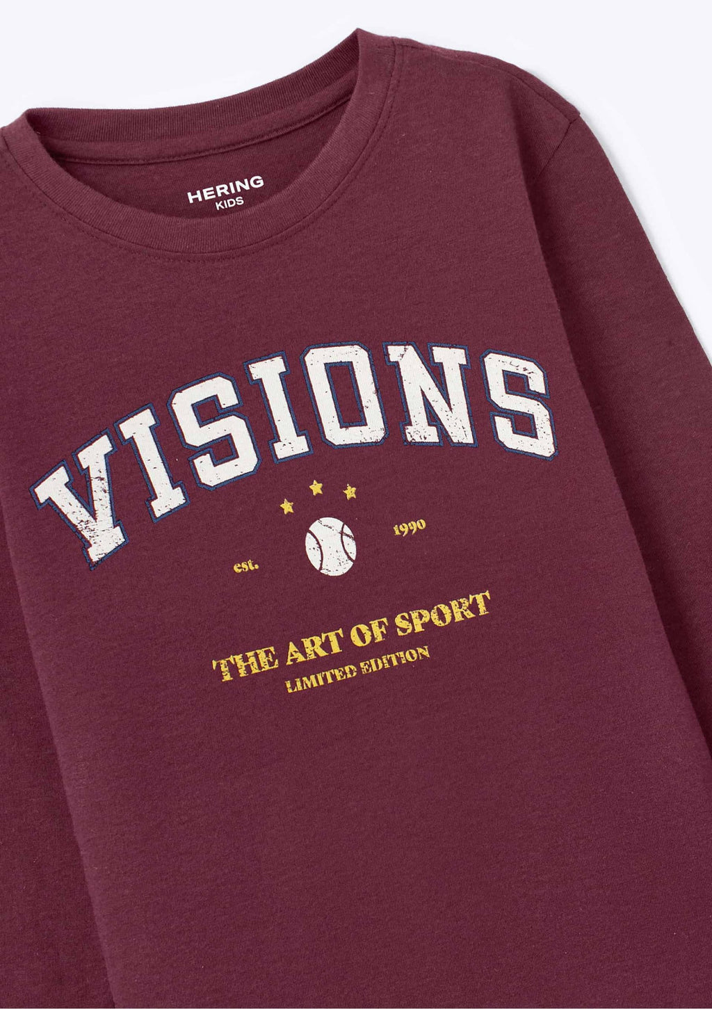 Camiseta Manga Longa Visions Bordô Hering - Masculina