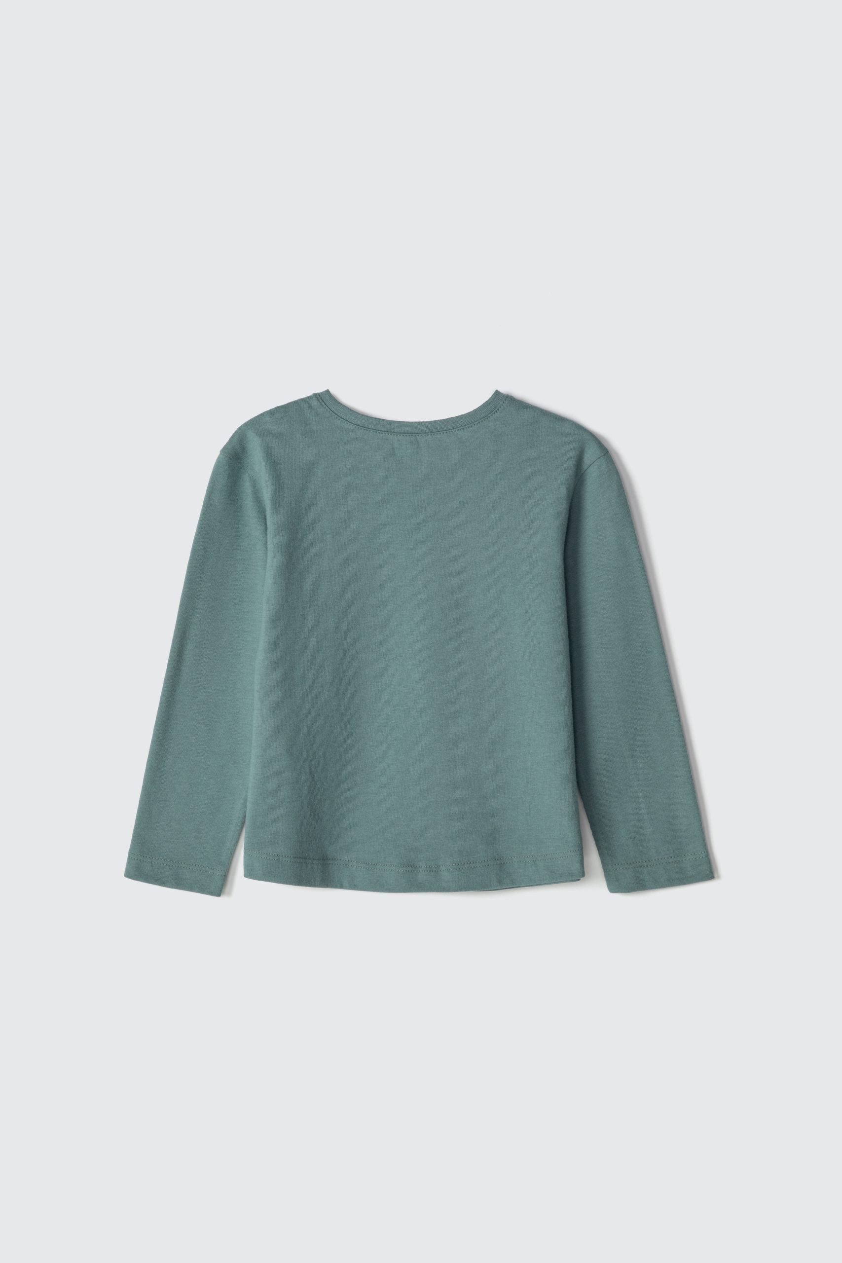 Blusinha Manga Longa Passarinho Verde Hering Infantil - Feminina