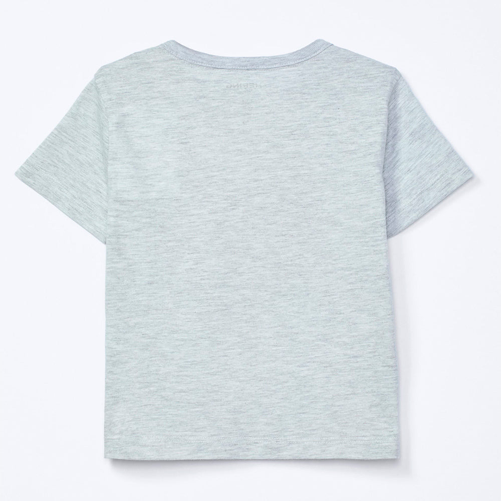 Camiseta Manga Curta Toddler Estampada Hering Kids Masculino – Cinza