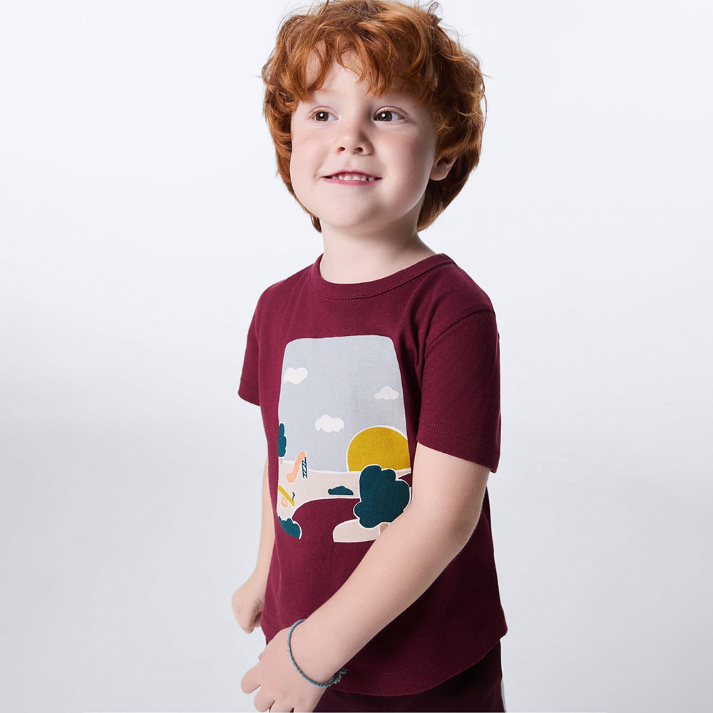 Camiseta com Estampa Toddler Hering Kids Masculino - Vinho