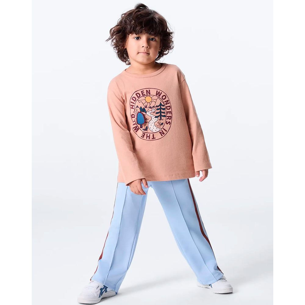 Camiseta Manga Longa Hering Kids Com Estampa Masculina - Bege