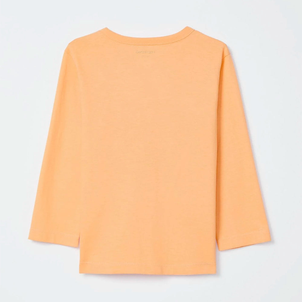 Camiseta Manga Longa Infantil Estampada Laranja Hering – Masculina