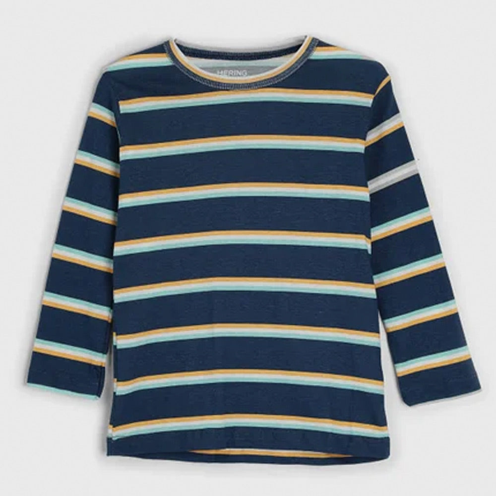 Camiseta Manga Longa Listrada Hering – Masculina