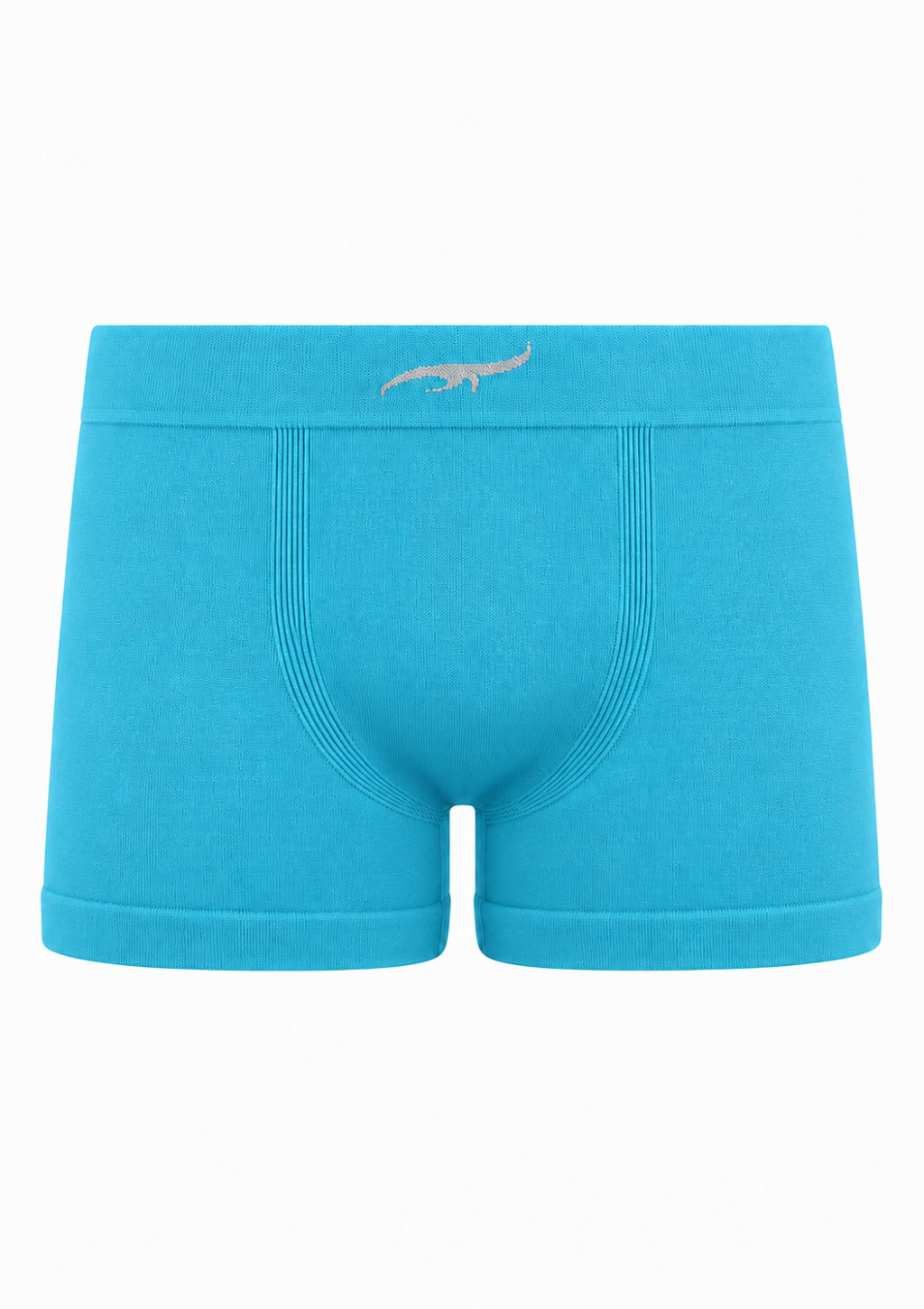 Cueca Boxer Infantil Sem Costura Menino Zee Rucci - Azul Turquesa