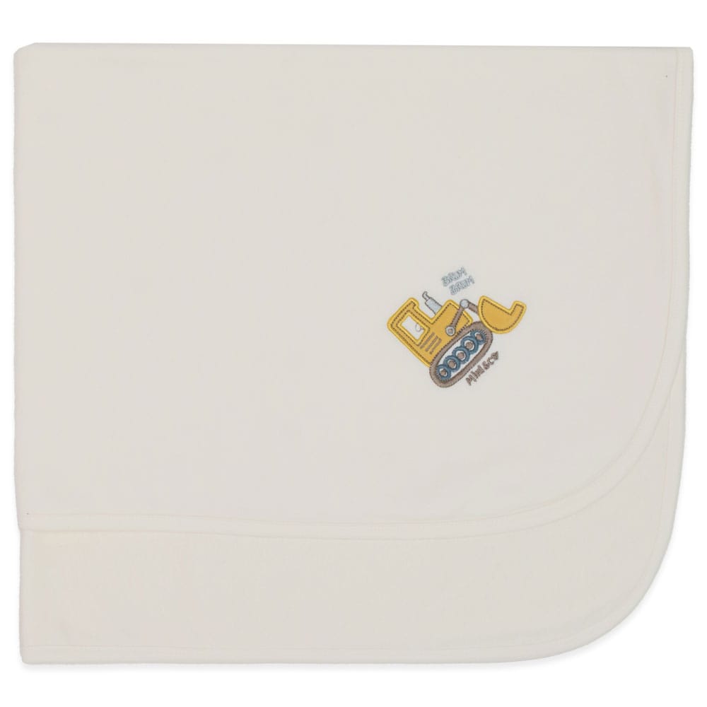 Cobertor com Forro Microsoft e Malha Masculino - Raposinha