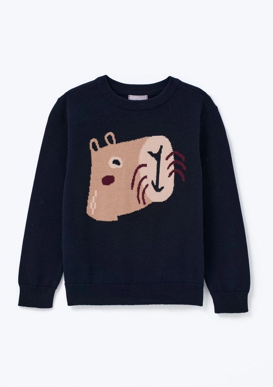 Blusão de Tricot Jacquard Capivara Marinho Hering - Masculina