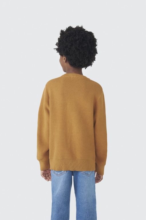 Blusão Manga Longa Tricot Caramelo Hering - Masculino - Imagem 2