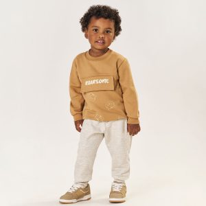 Conjunto Moletom Roarsome Marrom Tileesul - Masculino